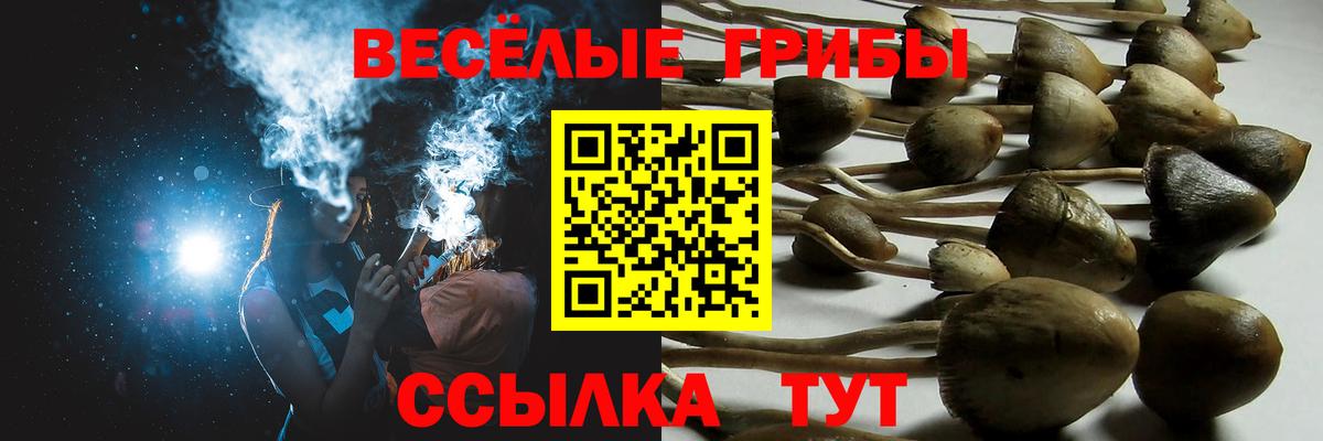 Петрозаводск  Галлюциногенные грибы прущие грибы  Вход с VPN 